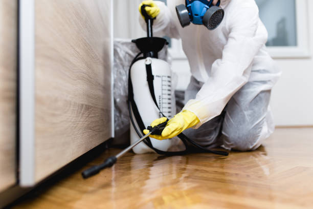 Best Bed Bug Extermination  in Alexander, AR