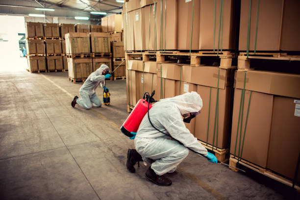 Best Wasp Removal Services  in Alexander, AR