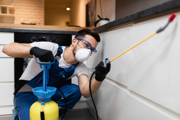 Best Pest Control Treatment  in Alexander, AR