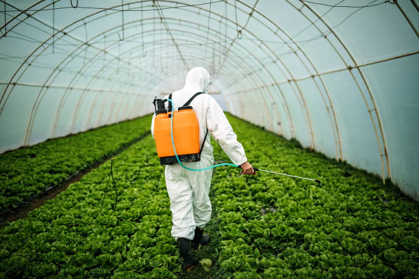 Best Affordable Pest Control Services  in Alexander, AR