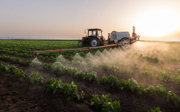 Best Wildlife Control Services  in Alexander, AR