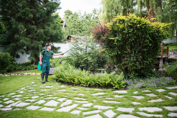 Best Pest Control Cost  in Alexander, AR