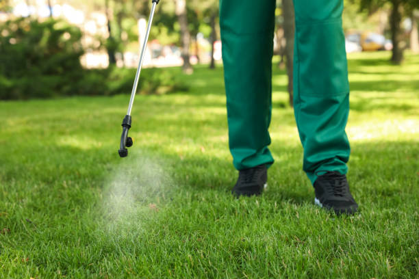 Pest Prevention Services in Alexander, AR