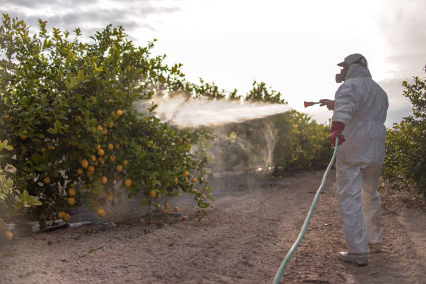 Best Pest Control Near Me  in Alexander, AR
