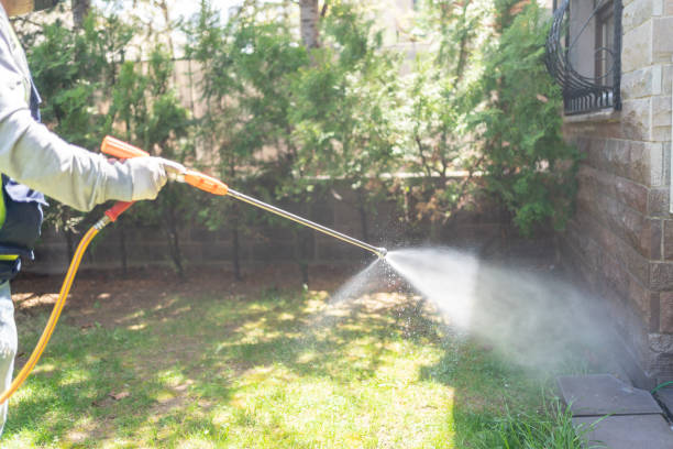 Best Affordable Pest Control Services  in Alexander, AR