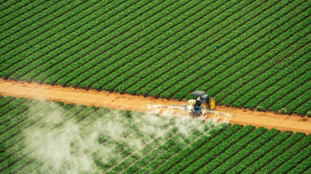 Best Pest Removal Services  in Alexander, AR